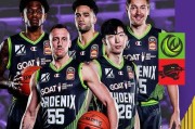 22, 霍勒迪防守悍将荣膺最佳阵容  